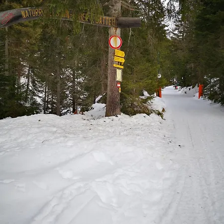 Vollmond -406- Leutasch