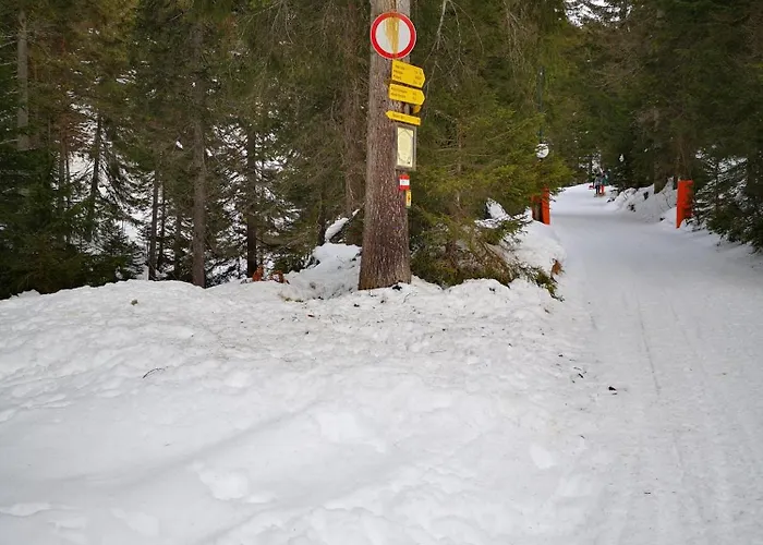 Vollmond -406- Leutasch