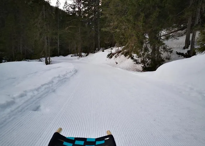 Apartmán Vollmond -406- *